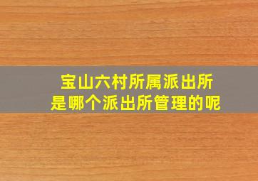 宝山六村所属派出所是哪个派出所管理的呢