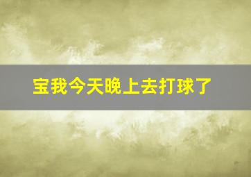 宝我今天晚上去打球了