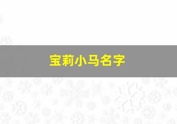 宝莉小马名字