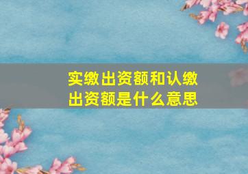 实缴出资额和认缴出资额是什么意思