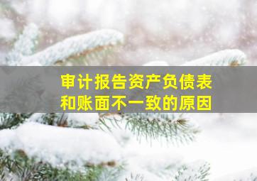 审计报告资产负债表和账面不一致的原因