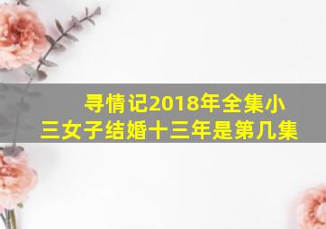 寻情记2018年全集小三女子结婚十三年是第几集