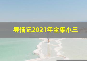 寻情记2021年全集小三