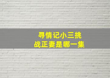 寻情记小三挑战正妻是哪一集