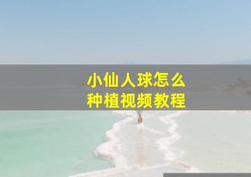 小仙人球怎么种植视频教程