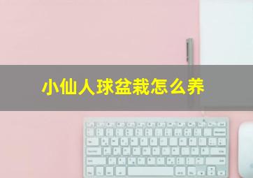 小仙人球盆栽怎么养