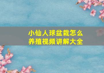 小仙人球盆栽怎么养殖视频讲解大全