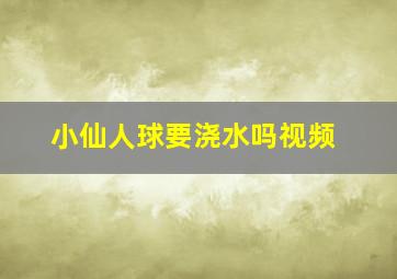 小仙人球要浇水吗视频