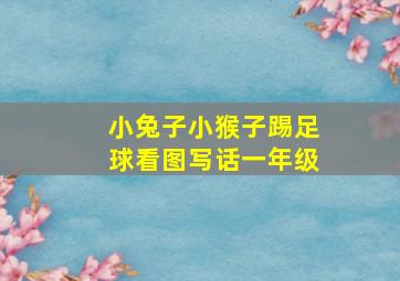 小兔子小猴子踢足球看图写话一年级