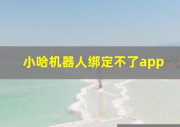 小哈机器人绑定不了app