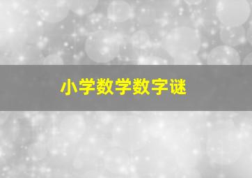 小学数学数字谜