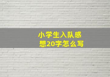 小学生入队感想20字怎么写