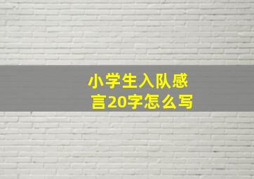 小学生入队感言20字怎么写