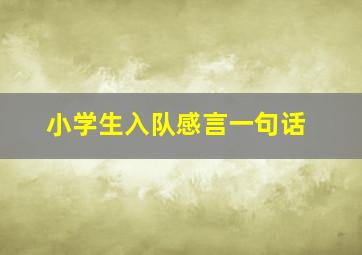 小学生入队感言一句话