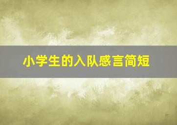 小学生的入队感言简短