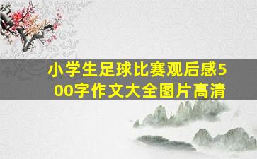 小学生足球比赛观后感500字作文大全图片高清