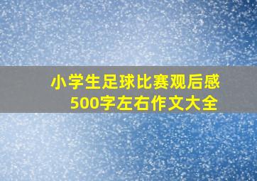 小学生足球比赛观后感500字左右作文大全