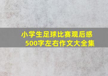 小学生足球比赛观后感500字左右作文大全集