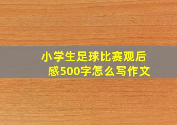 小学生足球比赛观后感500字怎么写作文