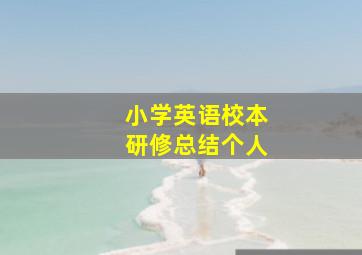 小学英语校本研修总结个人