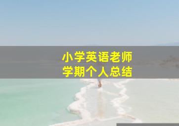 小学英语老师学期个人总结