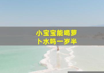 小宝宝能喝萝卜水吗一岁半