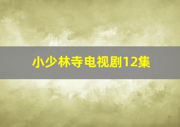 小少林寺电视剧12集