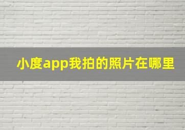 小度app我拍的照片在哪里