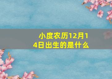 小度农历12月14日出生的是什么