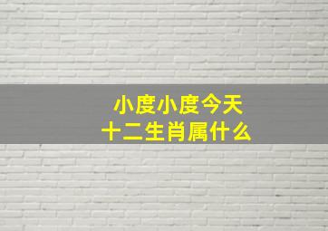 小度小度今天十二生肖属什么