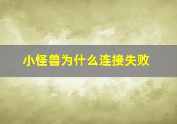 小怪兽为什么连接失败