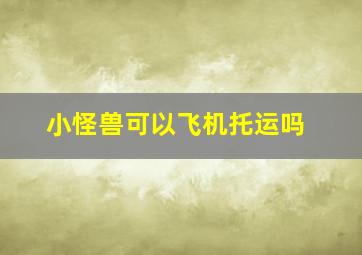 小怪兽可以飞机托运吗