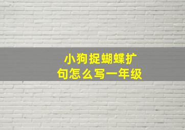 小狗捉蝴蝶扩句怎么写一年级