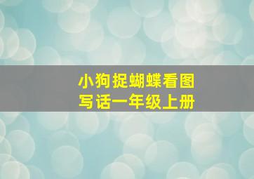 小狗捉蝴蝶看图写话一年级上册