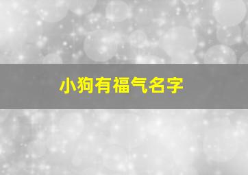 小狗有福气名字