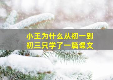 小王为什么从初一到初三只学了一篇课文