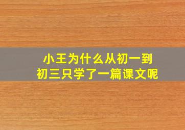 小王为什么从初一到初三只学了一篇课文呢