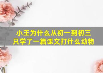 小王为什么从初一到初三只学了一篇课文打什么动物