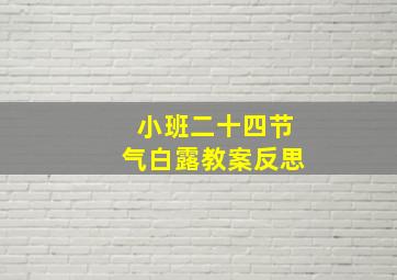 小班二十四节气白露教案反思