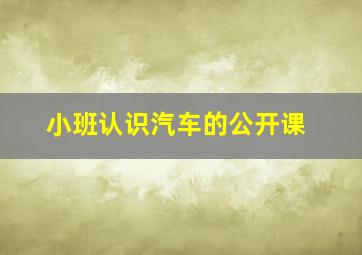 小班认识汽车的公开课