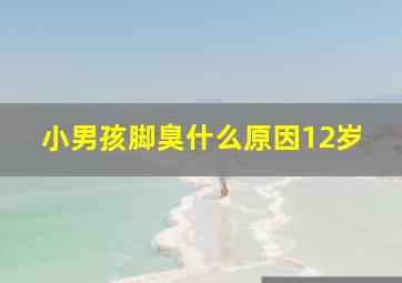 小男孩脚臭什么原因12岁