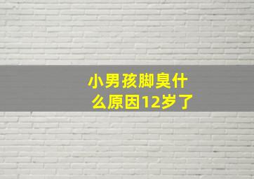 小男孩脚臭什么原因12岁了