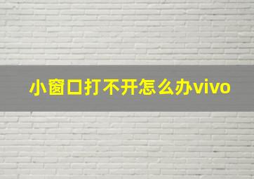 小窗口打不开怎么办vivo