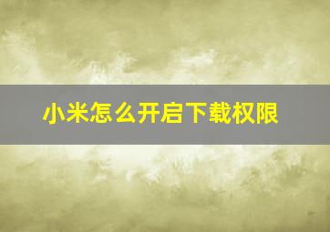 小米怎么开启下载权限