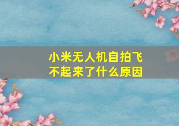 小米无人机自拍飞不起来了什么原因