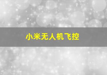 小米无人机飞控