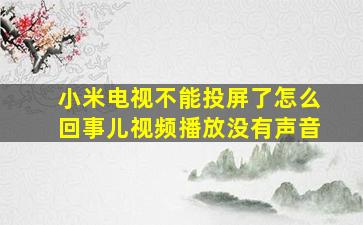 小米电视不能投屏了怎么回事儿视频播放没有声音