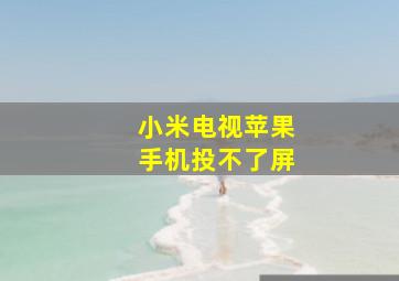 小米电视苹果手机投不了屏