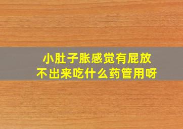 小肚子胀感觉有屁放不出来吃什么药管用呀