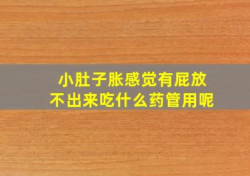 小肚子胀感觉有屁放不出来吃什么药管用呢